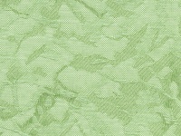 Шёлк Светло-зеленый 5608